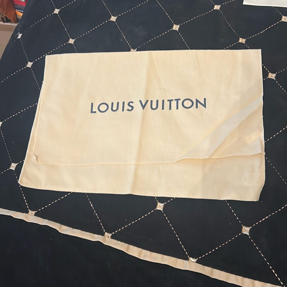 Louis Vuitton duster for handbag small